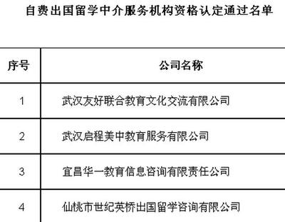 湖北公布自費留學中介機構名單，為學子鋪就透明安全的求學之路